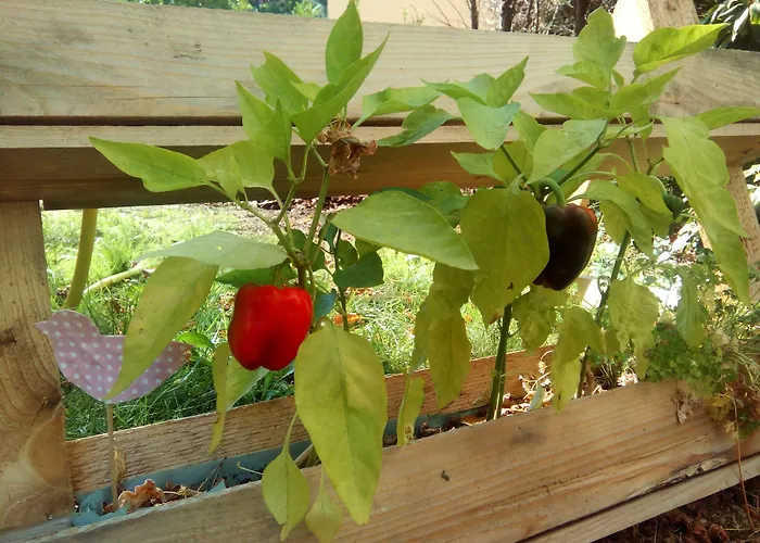 MarkgrafHotel Leipzig